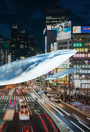クジラが街を飛んでいるARのイメージ写真